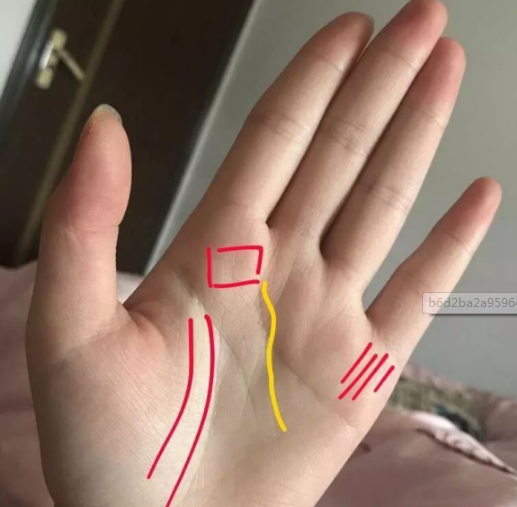 手上有这几个"记号"的女人, 财运强, 靠自己就能富有!_纹路