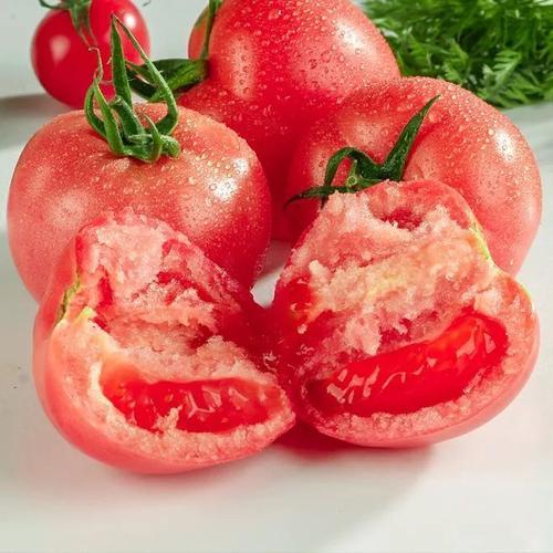 亩入四万的西红柿新品种口感西红柿果农必看