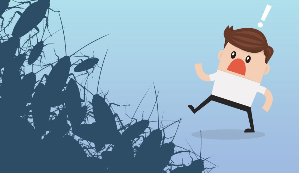 蟑螂到底有多顽强曾经被认为是日本核爆的唯一幸存者