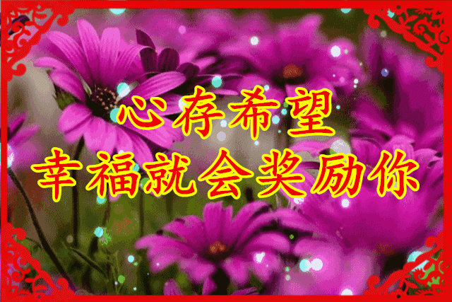 640_427gif 动态图 动图