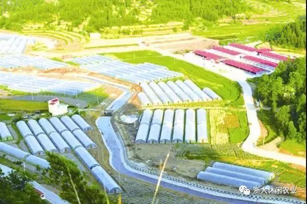 深圳生态农业投资：绿色发展的新篇章