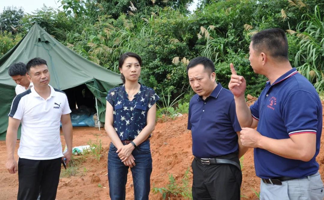 方璐到周坊镇调研村集体经济发展工作