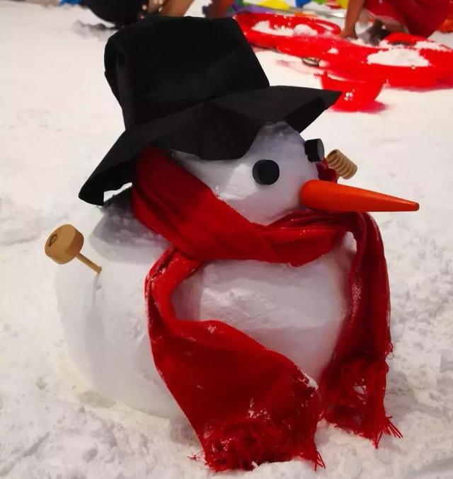 南极科考团空降郑州堆雪人打雪仗海洋球冰爽来熙