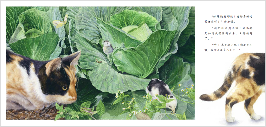 在于虹呈最新推出的绘本作品《小黑鸡》中,她希望讲述一个有关于成长