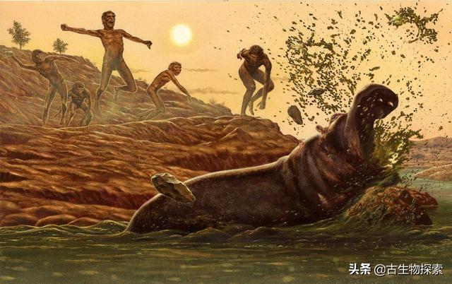 35米高古生物学家发现北半球第一巨鸟