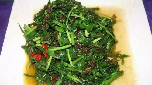 地皮菜的营养和功效如何?怎么吃最好?