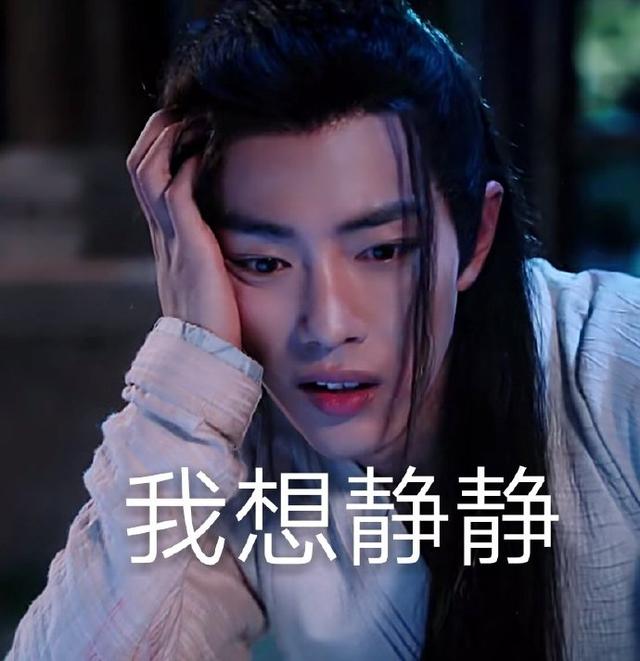 《陈情令》肖战表情包