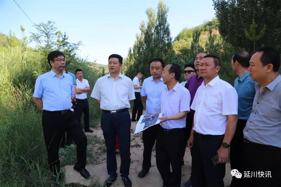 县委书记张永祥调研知青城项目