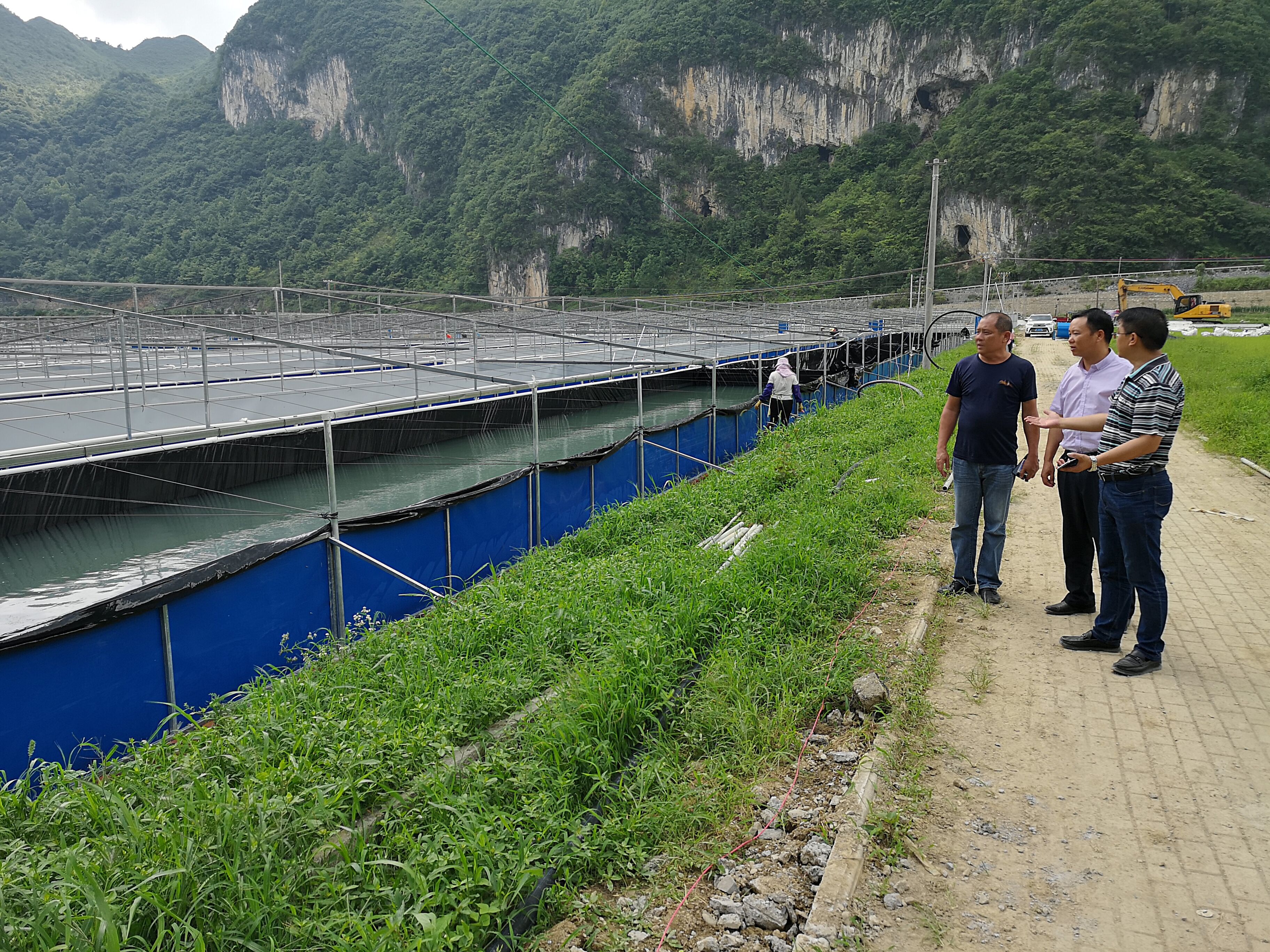 附近龙虾养殖基地图片