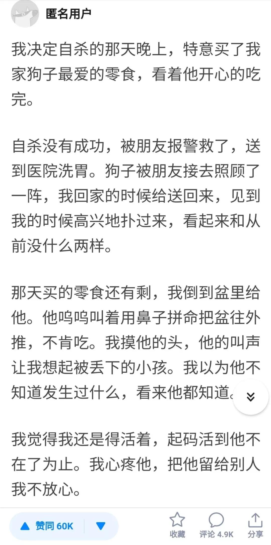 監獄把窮凶惡極的人和最兇的狗放一起，發生超神奇的事 未分類 第25張