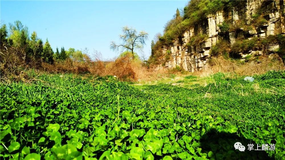 【九成宫文苑】王仓文散文《漆水流韵》_麟游县