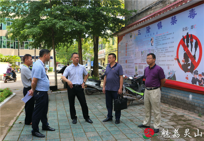 曾智到三隆镇调研指导禁毒和脱贫攻坚工作