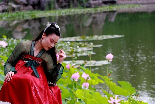 洛阳国花园荷花满塘清晨古装佳人赏荷舞剑