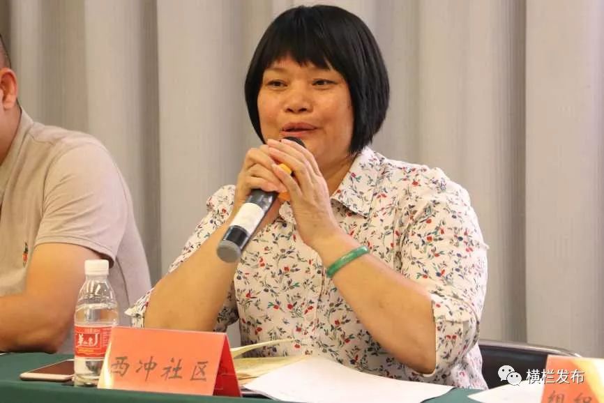 镇党委委员魏子华向与会人员详细介绍了我镇乡村振兴工作相关情况.