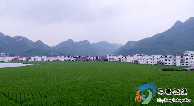 者密镇农业兴乡村兴带领群众富