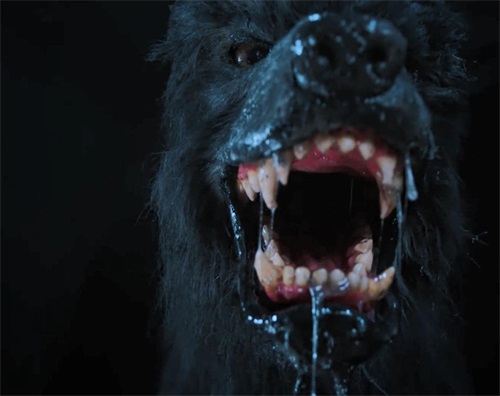 但是却非常害怕大狗,而且牢房中这只大狗身形巨大,面目狰狞,血盆大口