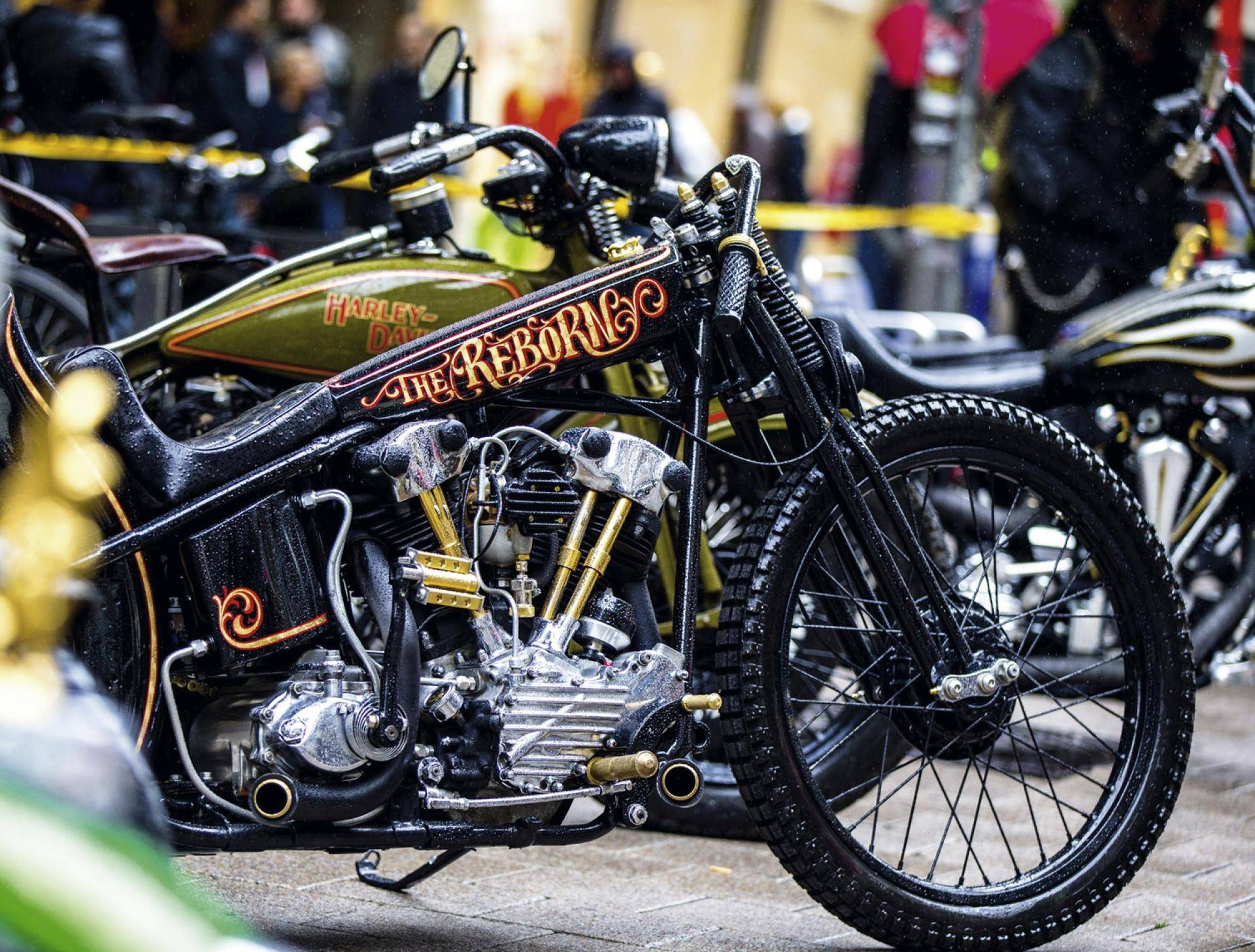 上周末机车老炮们都参加了这个欧洲地区最大的哈雷摩托集会