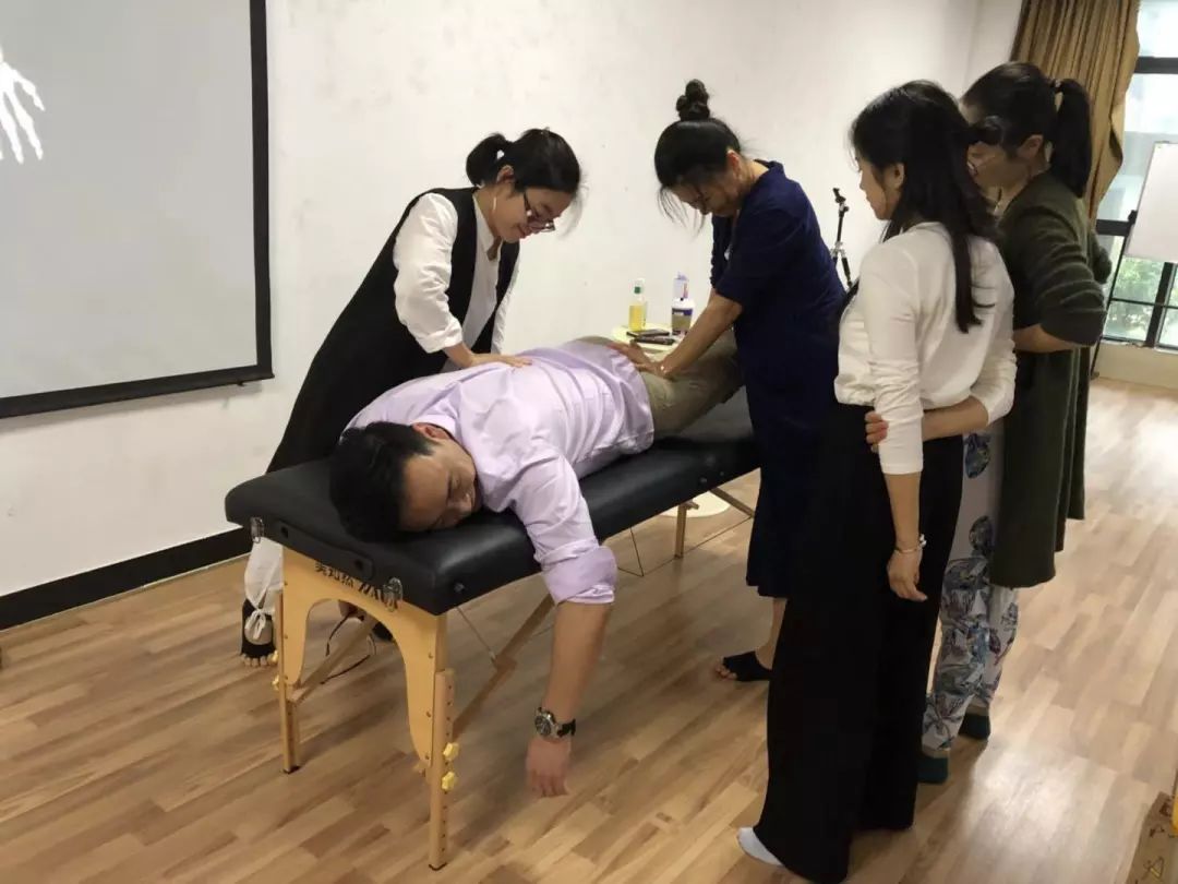 倒计时最后2天全国独家开设李哲老师功能康复解剖全系统课程覆盖面最