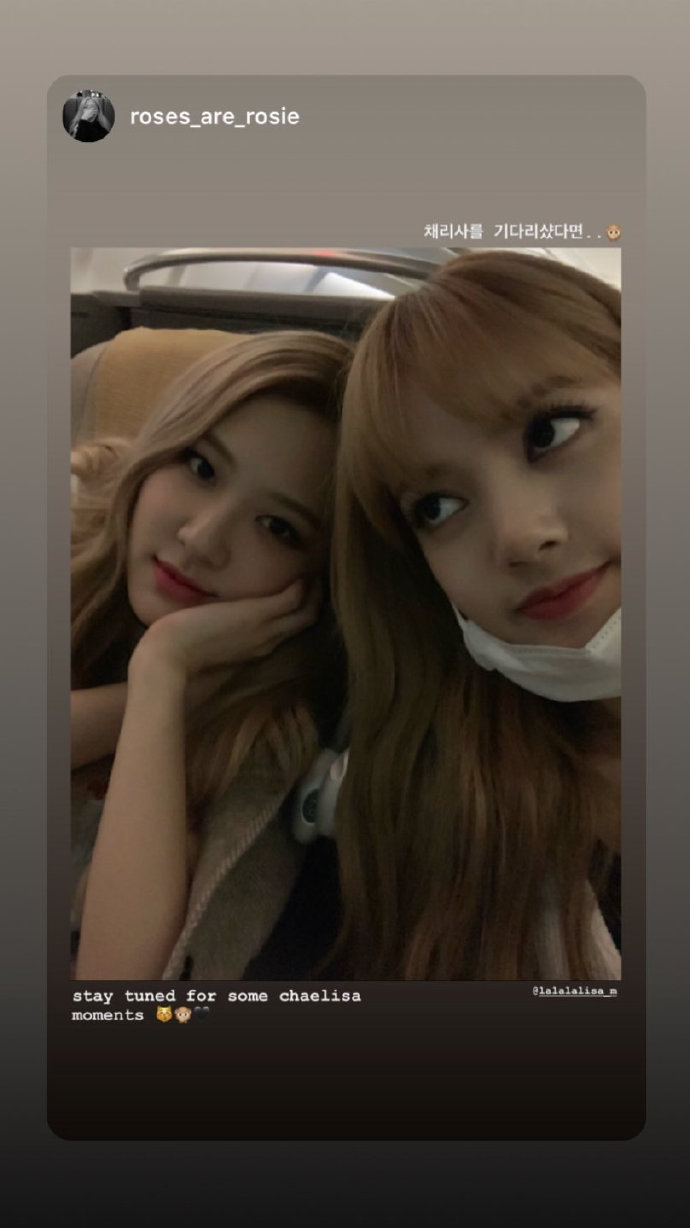 roselisa五花肉的撒糖vlive直播insstroy也提前预热