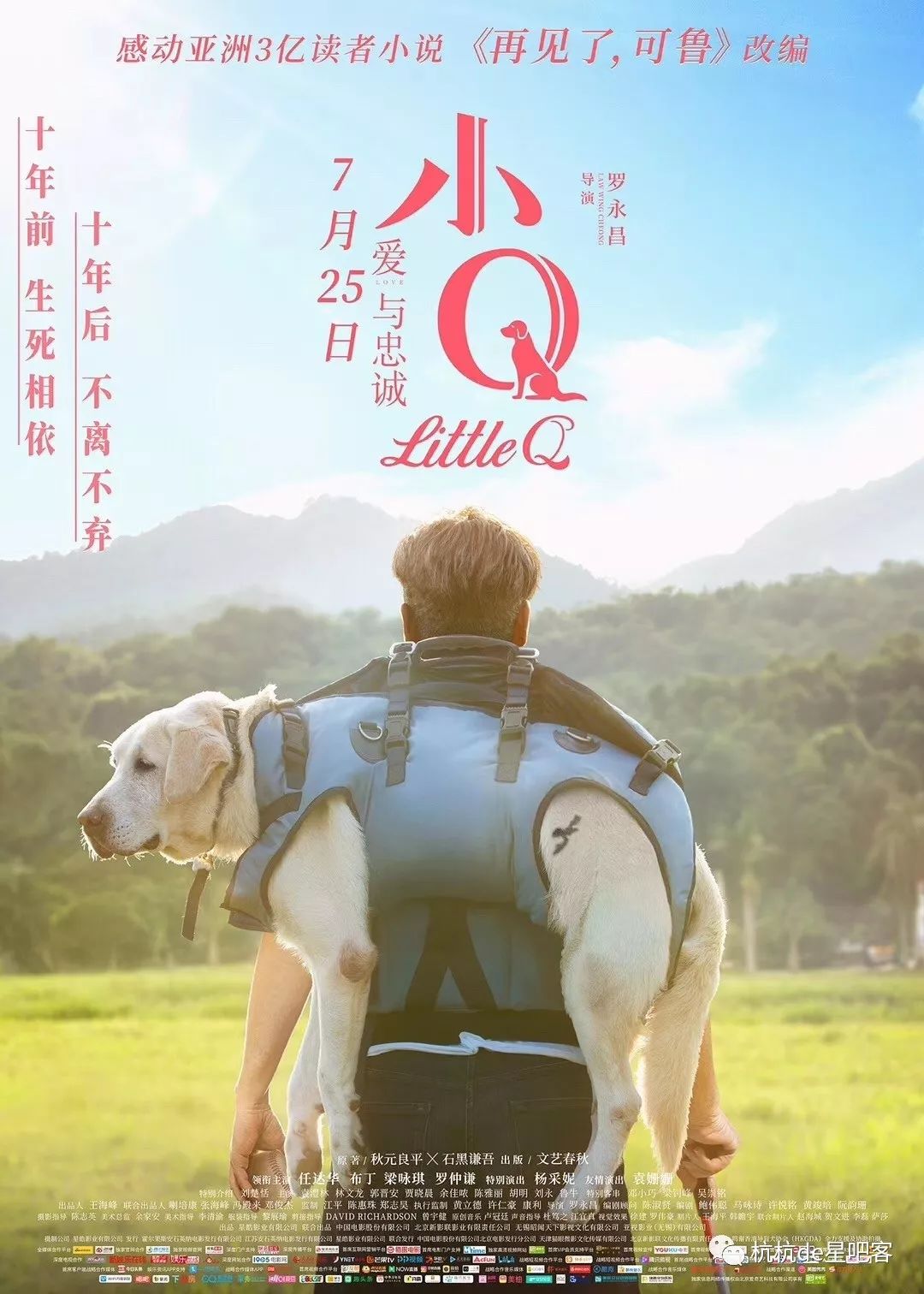 送票曾感动3亿亚洲读者小q邀你体会导盲犬的爱与忠诚