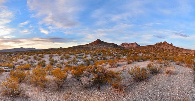 奇瓦瓦沙漠(chihuahuan desert )- 新墨西哥