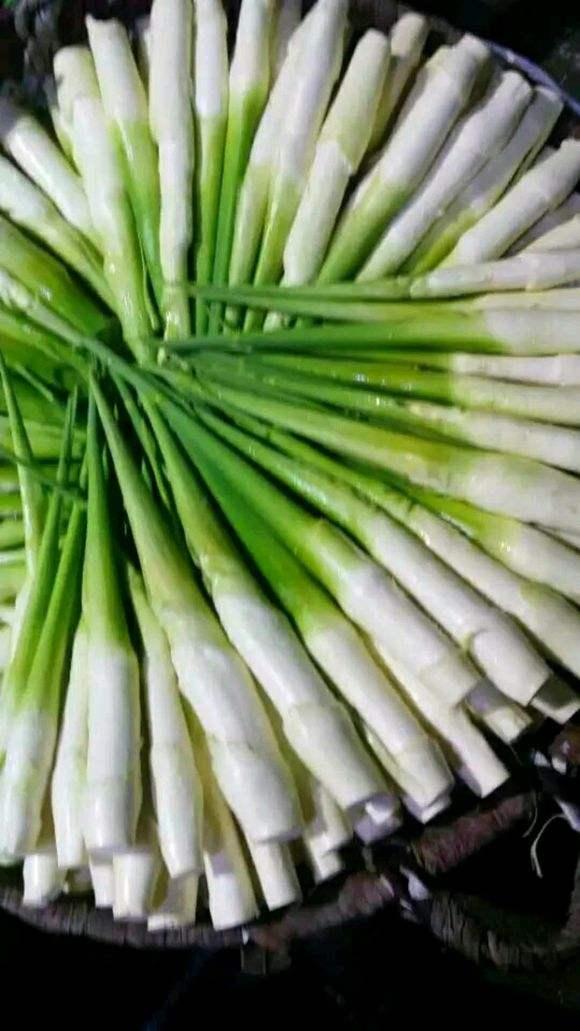 茭白(禾笋)营养价值_江西