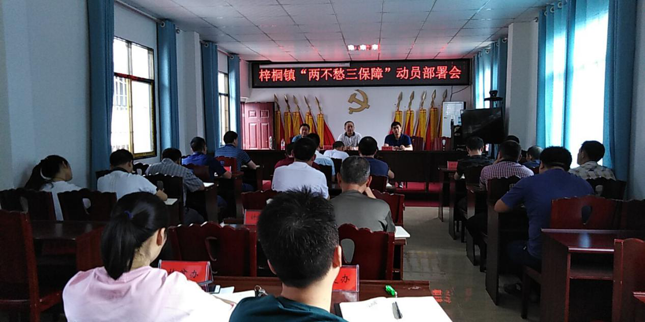 梓桐镇召开两不愁三保障动员部署会