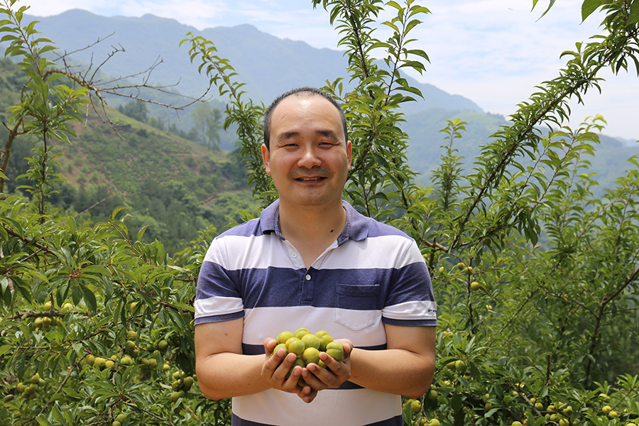 陕西西乡堰口村村书记图片