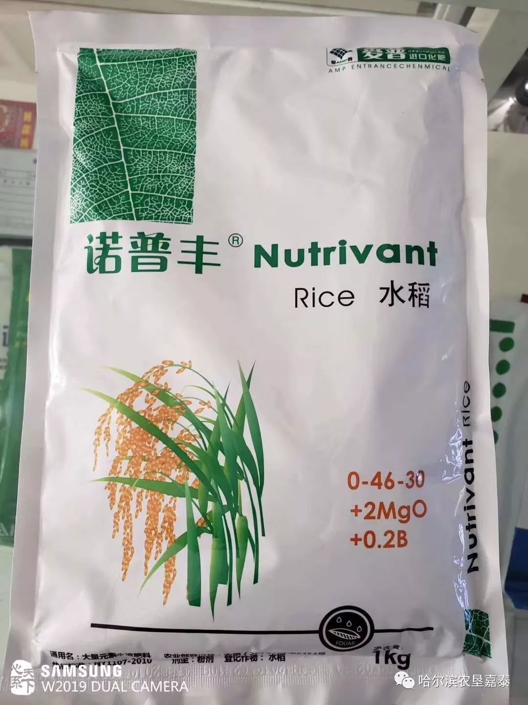 玉米,大豆,水稻药害,低温冷害如何解决?