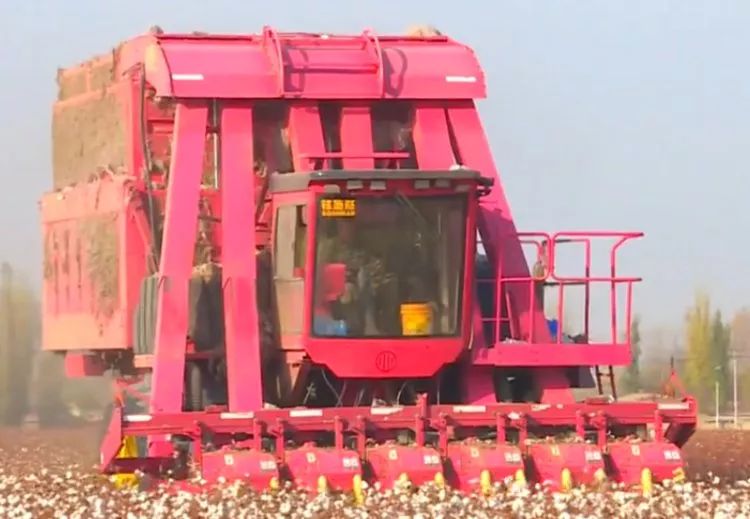这台国产6行采棉机完全不输进口品质回本更快
