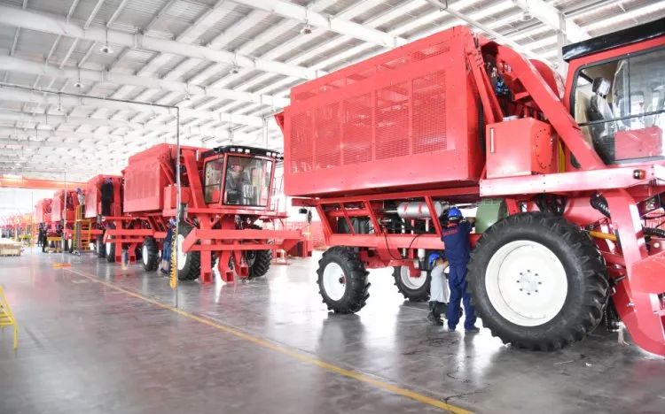 这台国产6行采棉机完全不输进口品质回本更快