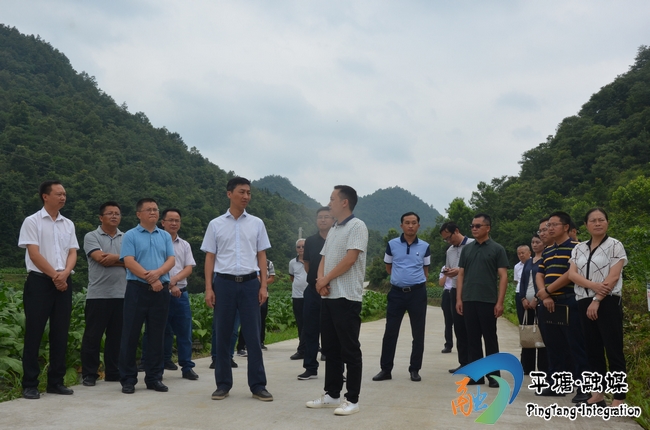 县委副书记蒋小祥,县委常委周德扬,黄学兰,莫卫武