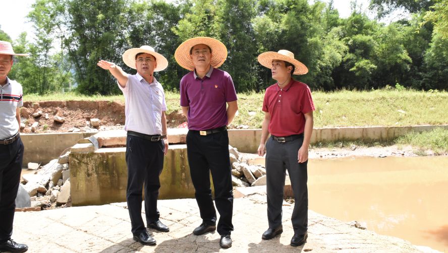 关注县长县总河长陈树源到桥头镇巡河强调了这些