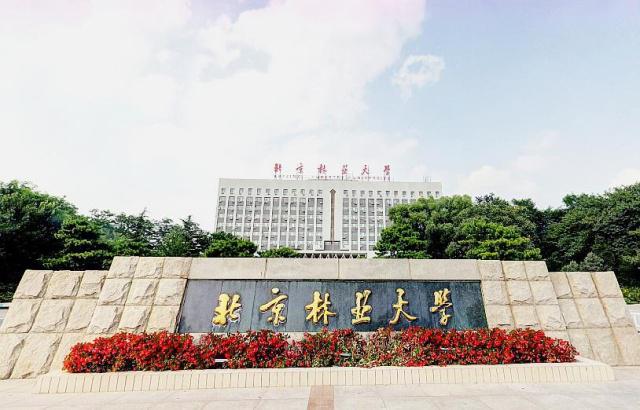 都是211院校北京林业大学和上海大学选哪个比较好