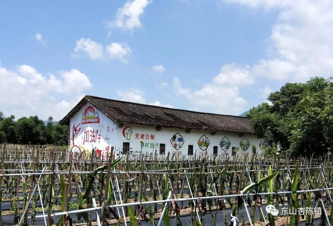 杏陈镇开展追寻红色足迹守初心主题党日活动