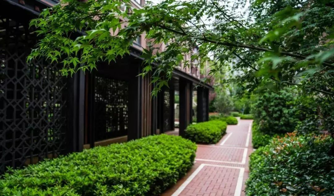 捕捉26张夏日瞬间,收获朗香书院美好生活