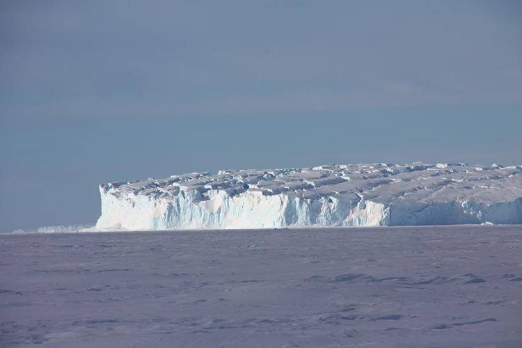 南极洲海冰面积缩至40年新低