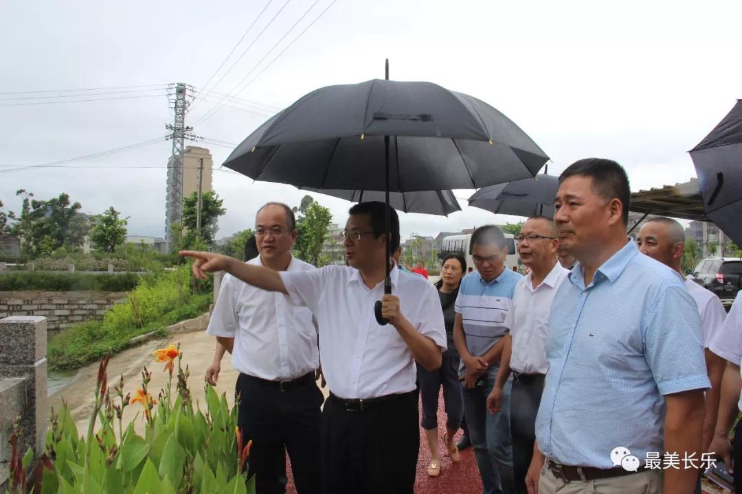 蔡劲松一行实地察看鹤上莲柄港主河道东平村段,金峰塘下村段河道,潭头