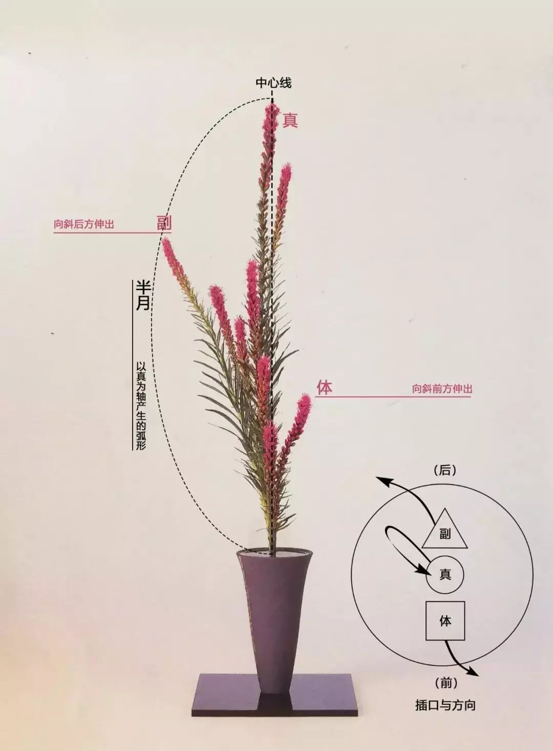 日本花道的三大流派插花党看这里