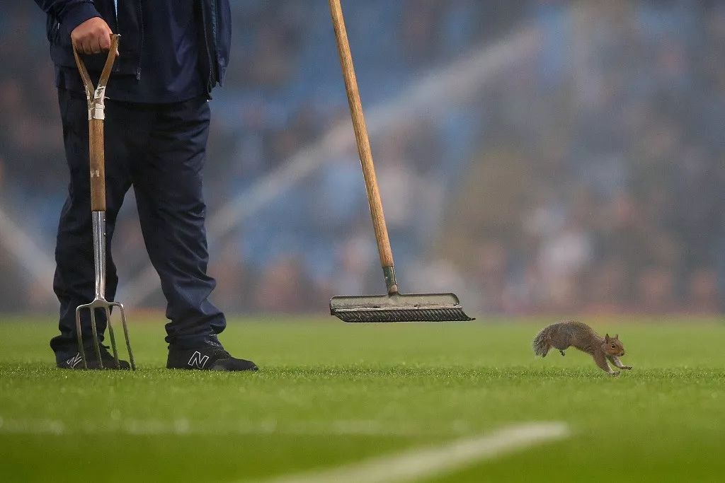 扔鞋是搅局者们常用的方式.