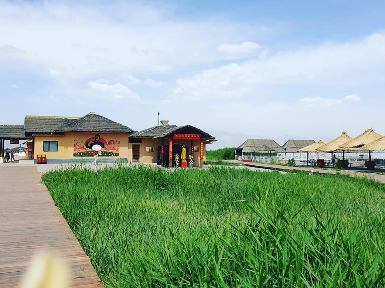 原创最早的国营农场在这养鱼现在成了最美湿地就藏在宁夏