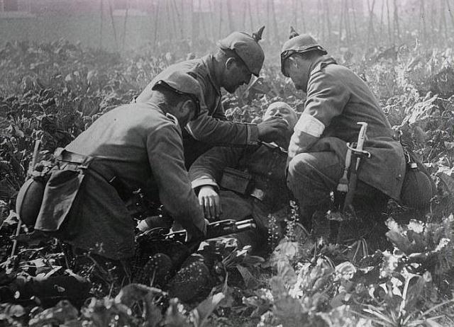 一名躺在比利时草莓田中的伤病,随着战争的进行,到后面的大规模战役时