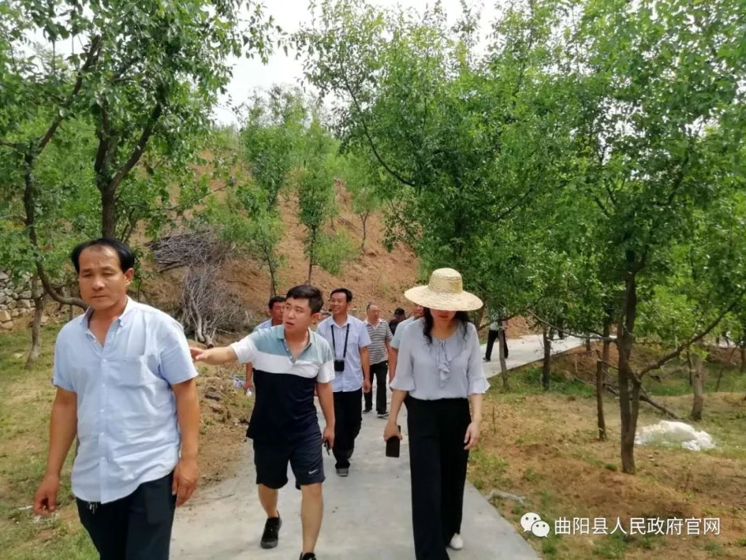 曲阳县大枣生产现场观摩及培训会在 范家庄乡上下跑村召开