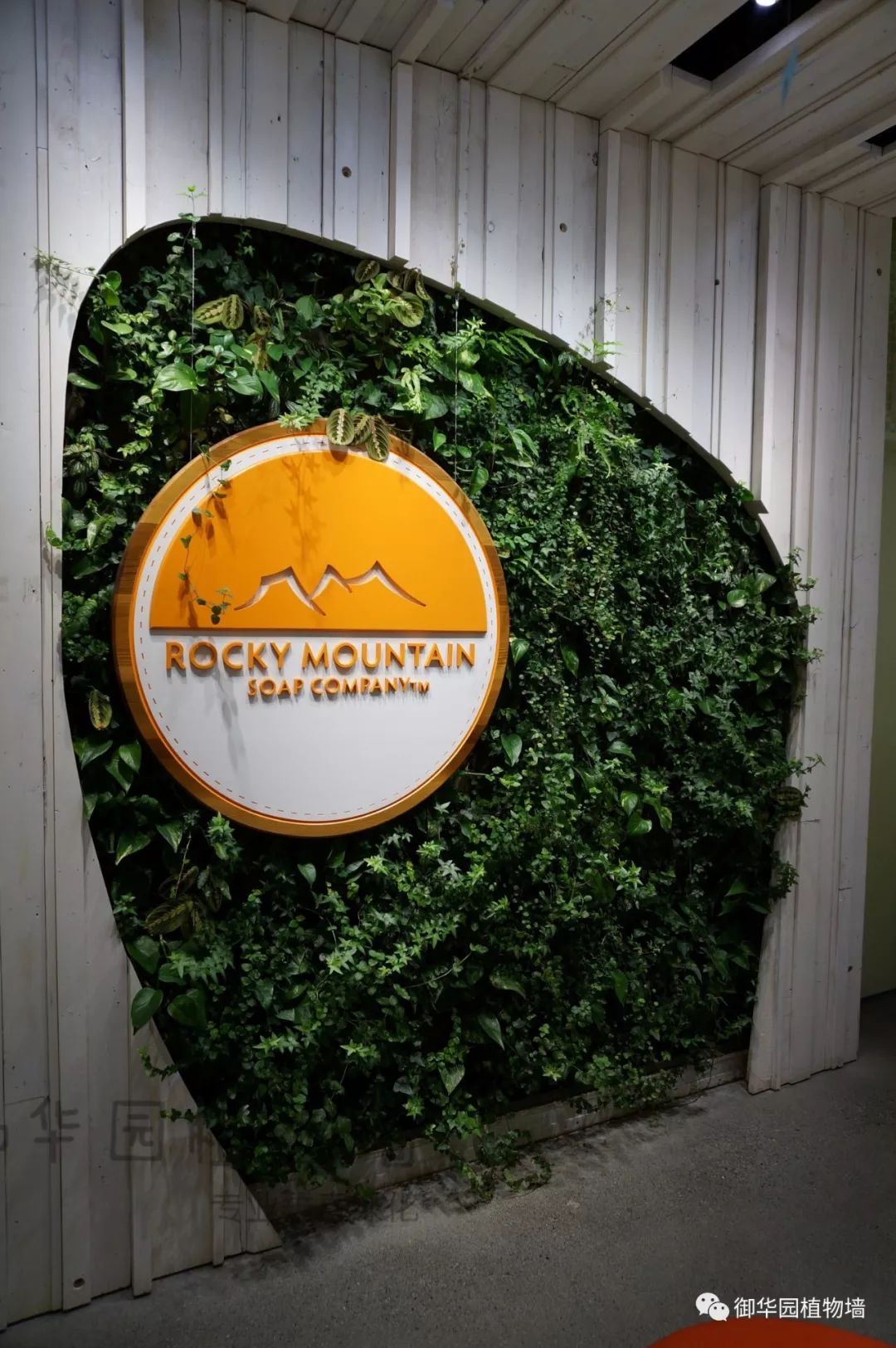 异形植物墙服务于个性化空间审美