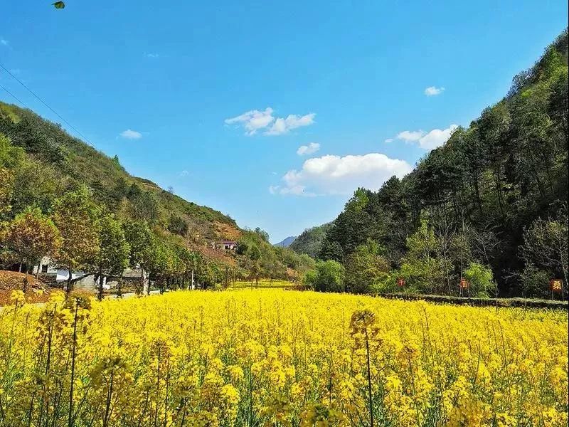 世外桃源蒿坪村