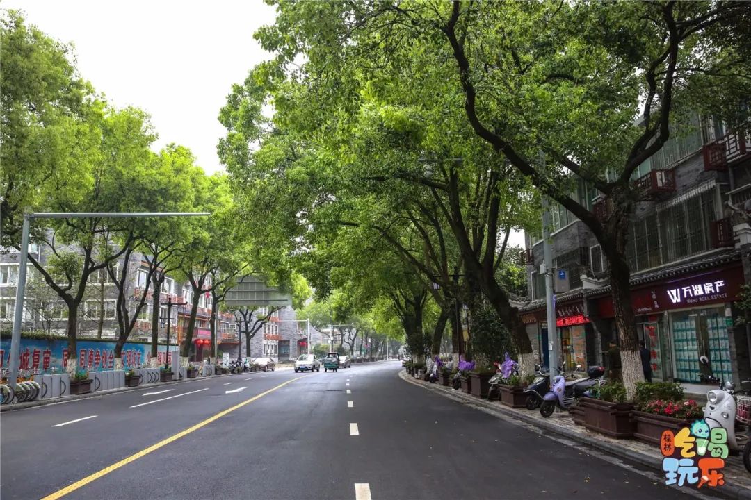 在甜品店卖了将近20年牛肉面的老店里一碗凉拌面就能爽神