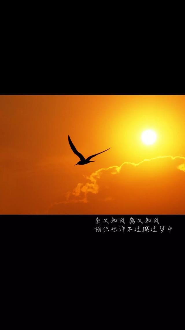 人生哲理语录4