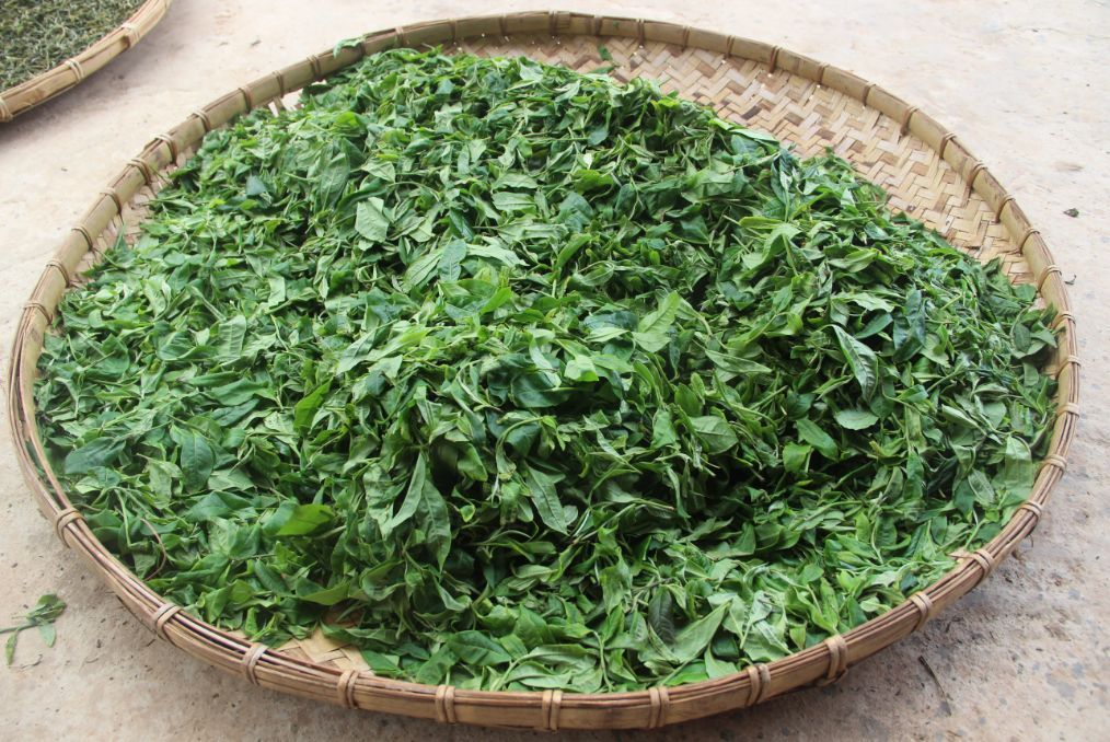 影响普洱茶不能在后期良好转化的三大元凶