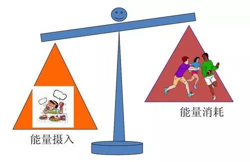 热量减肥让变瘦不再是一句空话