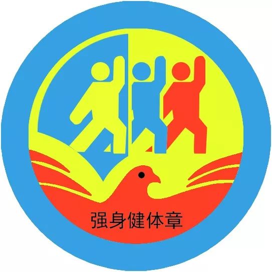 实践活动望都县新城区小学2019年暑假雏鹰争章实践活动指南